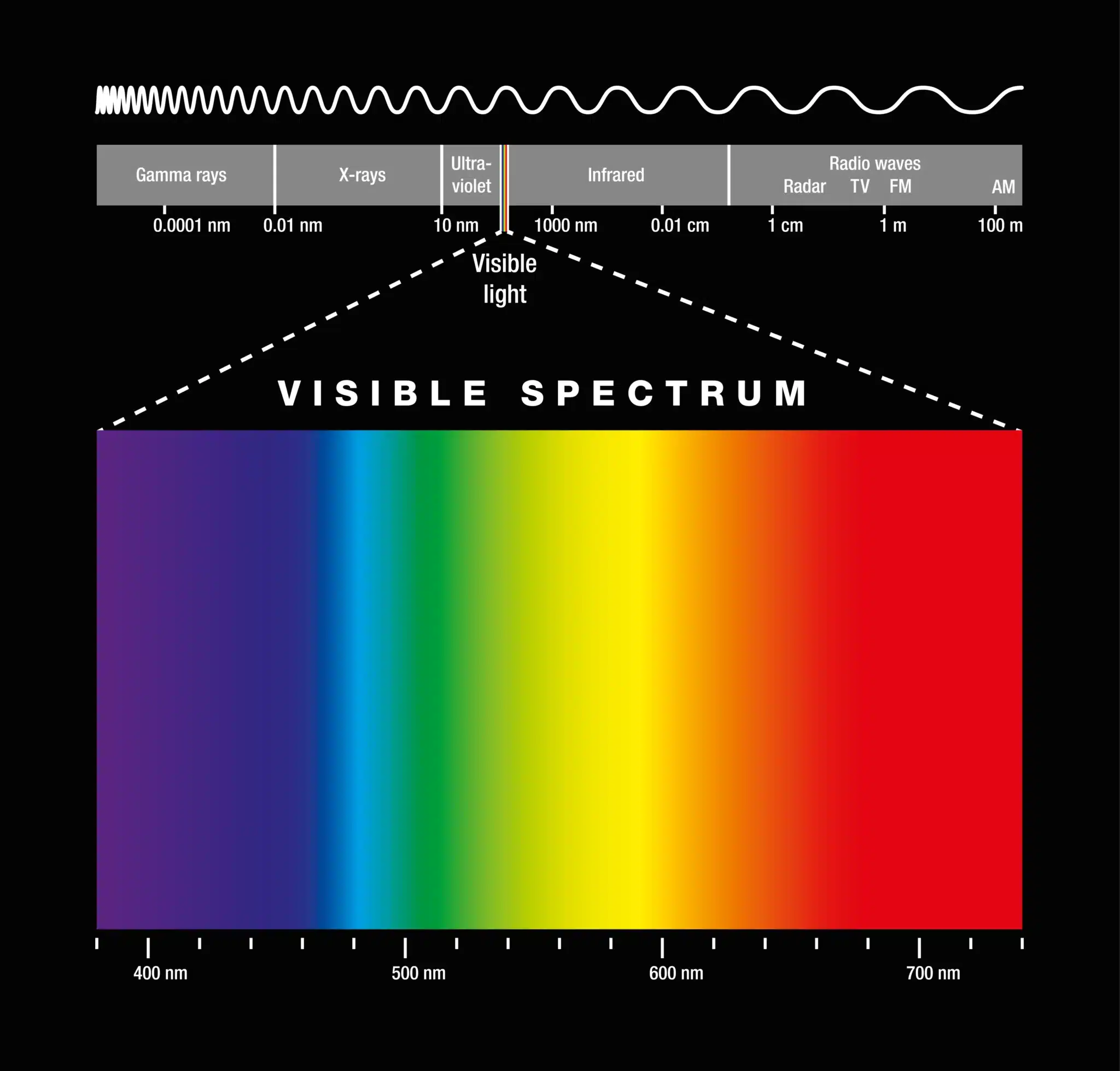 Visible light spectrum